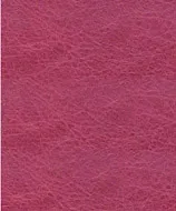 Torino Cupid swatch