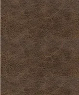 Torino Espresso swatch