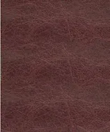 Torino Madeira swatch