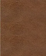 Torino Picante swatch