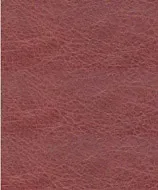 Torino Strawberry swatch