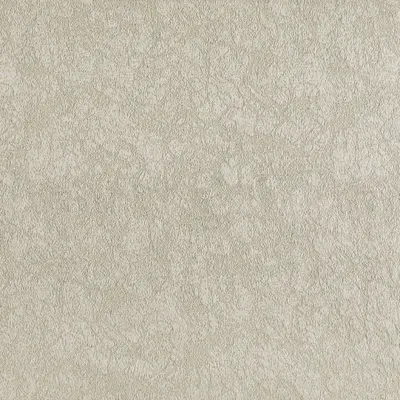 Acropolis Silver swatch