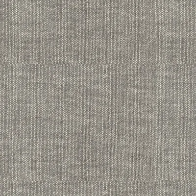 Arlington Silver swatch