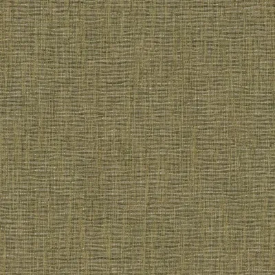 Astol Lichen swatch