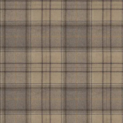 Bainbridge Grey swatch