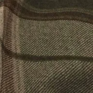 Bainbridge Olive swatch