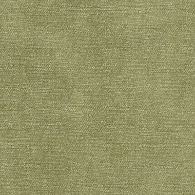 Beretta Avocado swatch