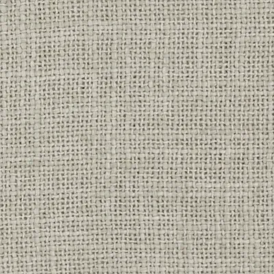 Bruges Limewash swatch