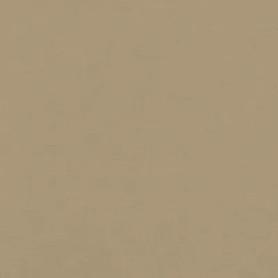 Cadence Butter swatch