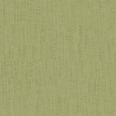 Casual Apple swatch