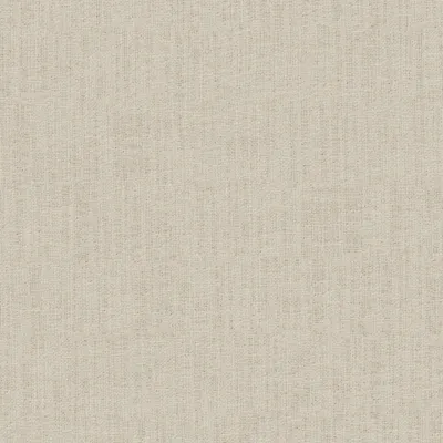 Casual Natural swatch