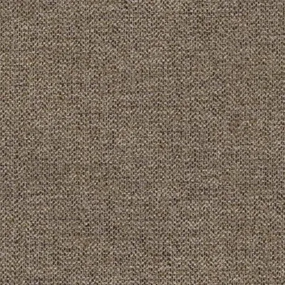 Chanel Bark swatch