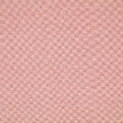 Checkers Candyfloss swatch