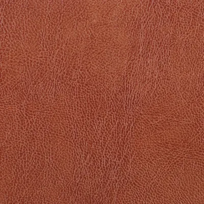 Chesterfield Burnt Orange swatch