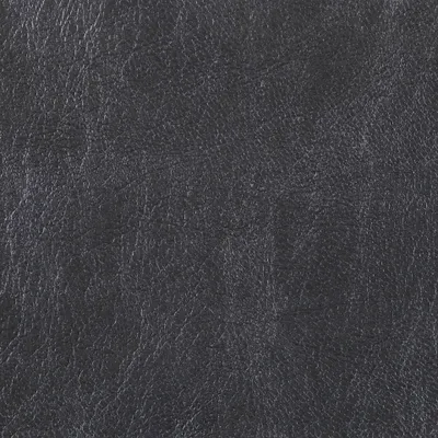 Chesterfield Carbon swatch