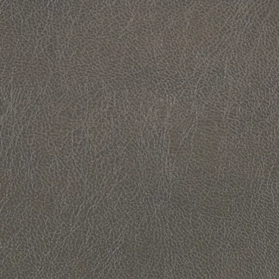 Chesterfield Elephant swatch