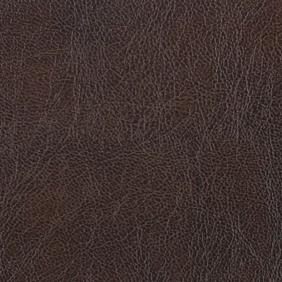 Chesterfield Espresso swatch