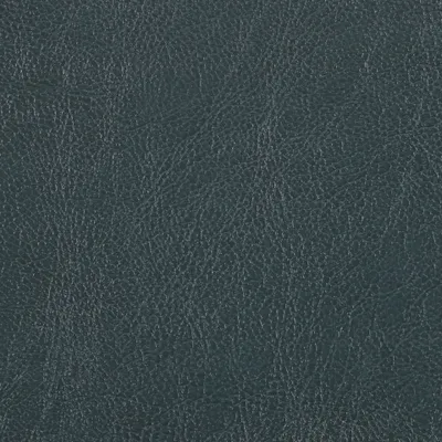 Chesterfield Forest swatch