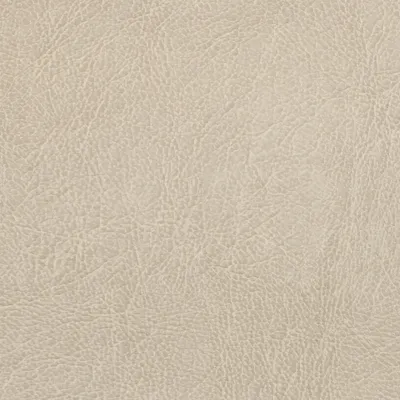 Chesterfield Latte swatch