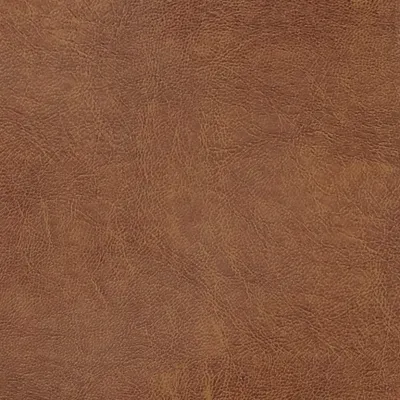 Chesterfield Saddle swatch
