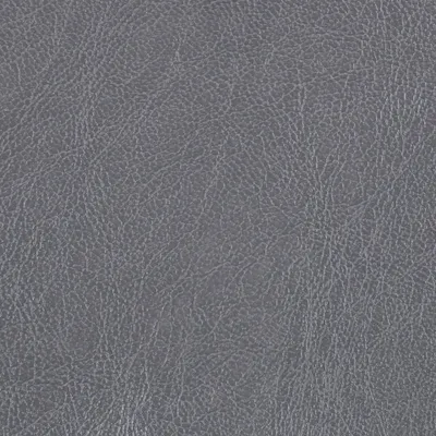 Chesterfield Steel swatch
