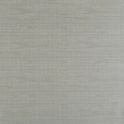 Chrysler Silver swatch