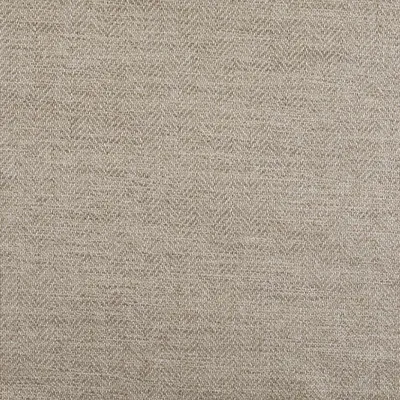 Colosseum Platinum swatch