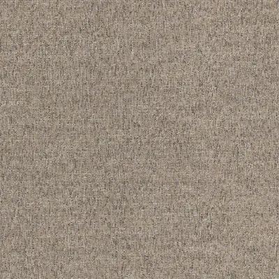 Denali Biscuit swatch