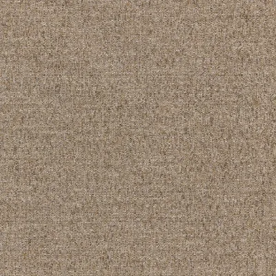 Denali Flint swatch