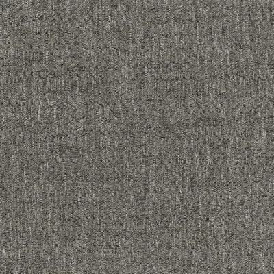 Denali Graphite swatch