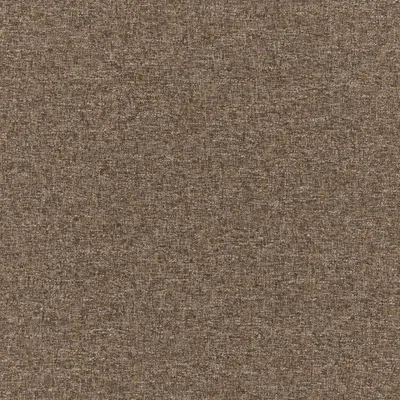 Denali Mocha swatch