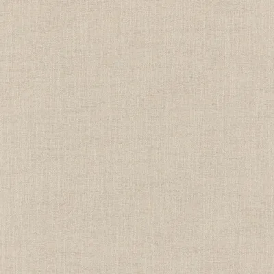 Denali Oatmeal swatch