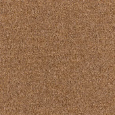 Denali Ochre swatch