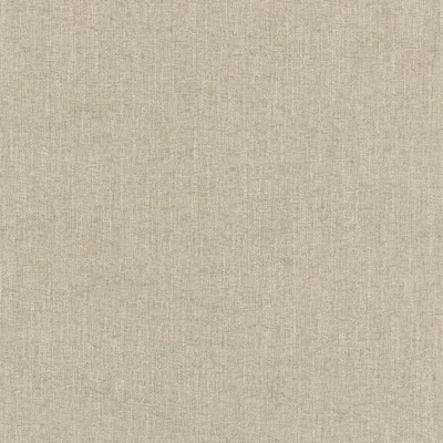 Denali Platinum swatch