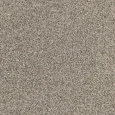Denali Pumice swatch