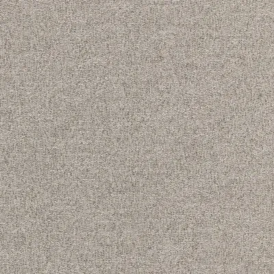 Denali Silver swatch