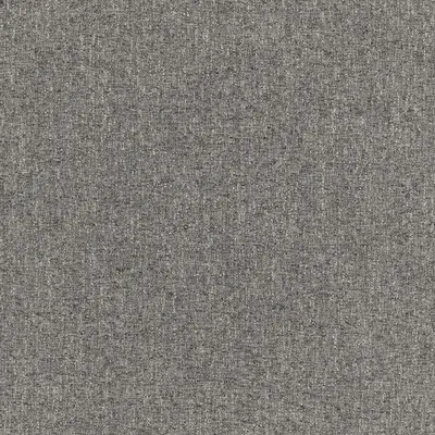 Denali Thunder swatch