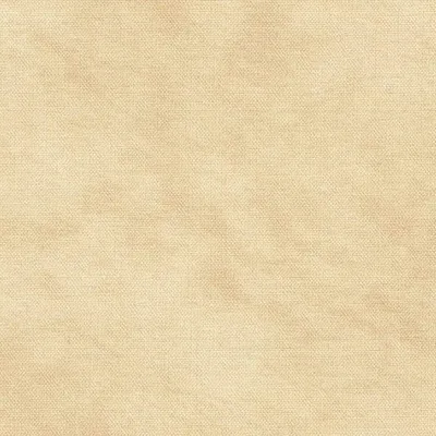 Dolce Champagne swatch