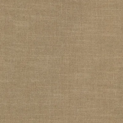 Durham Biscotti swatch