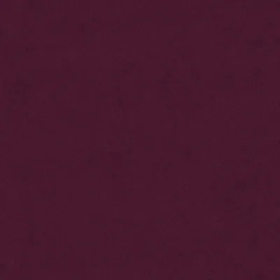 Eclipse-FR Cardinal swatch