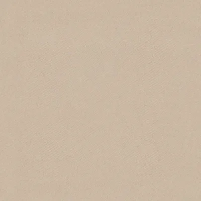 Eclipse-FR Champagne swatch
