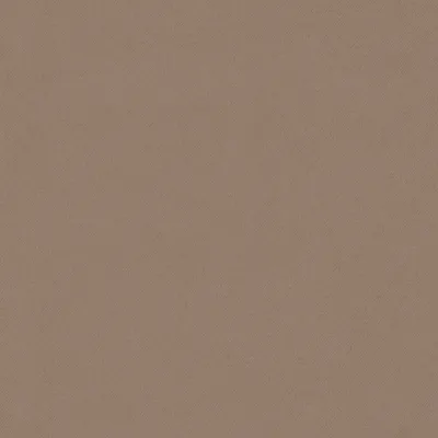 Eclipse-FR Hazel swatch