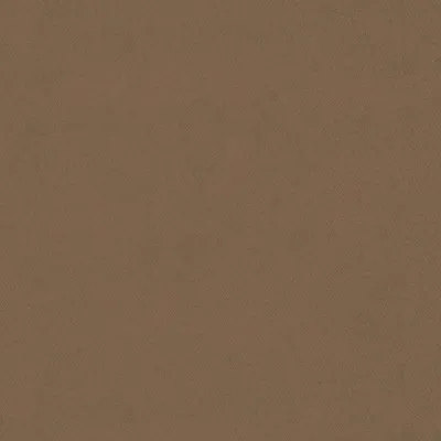 Eclipse-FR Honey swatch