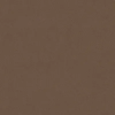 Eclipse-FR Latte swatch