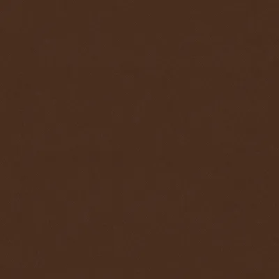 Eclipse-FR Leather swatch