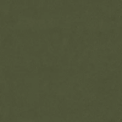 Eclipse-FR Rosemary swatch