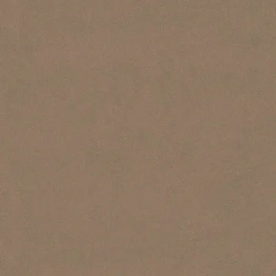 Eclipse-FR Taupe swatch