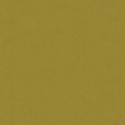 Eclipse-FR Zest swatch