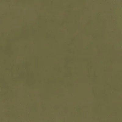 Eco-Velvet Olive swatch