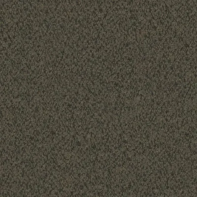 Everest Earth swatch
